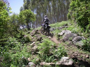 This nice rocky uphill is always a favourite
