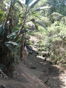 Kevard Adventures | Off-Road Bike Riding Trails